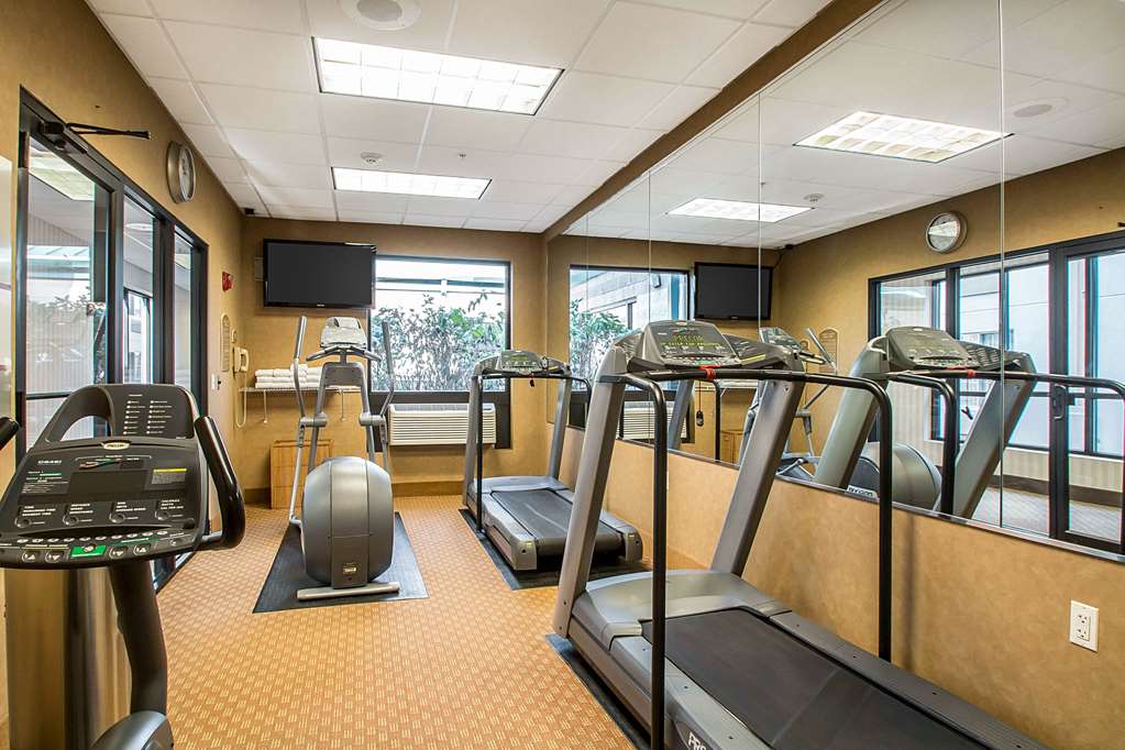 Clarion Inn Elmhurst Oak Brook near I 88 I 290 I 294 - photo 37