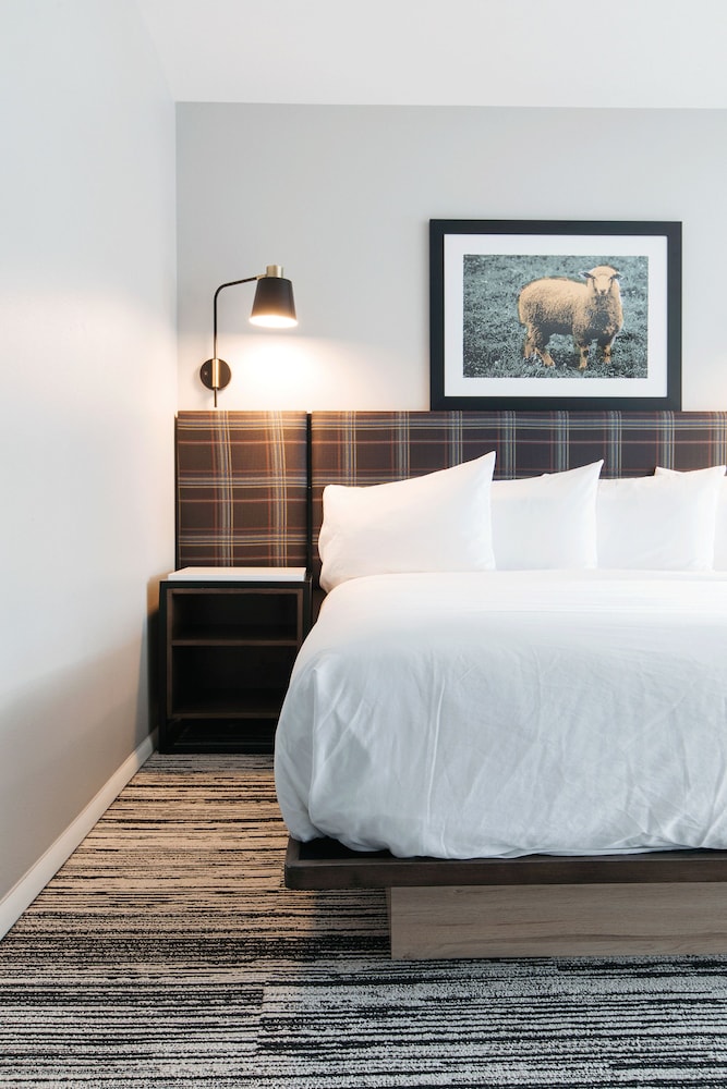 Hotel Ketchum - photo 14