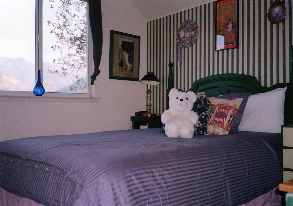 Bellevue Guesthouse - photo 4