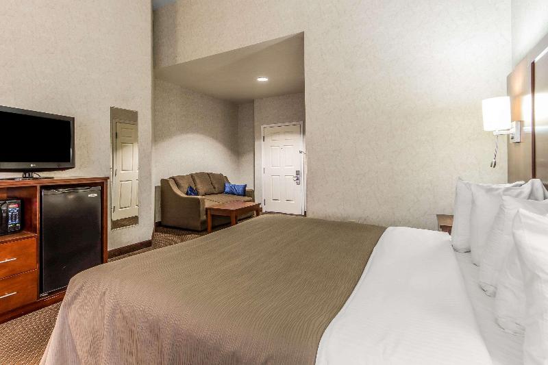 Quality Inn San Jose Downtown - photo 25