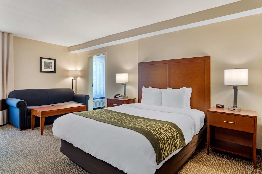 Comfort Inn Douglasville Atlanta West - photo 12