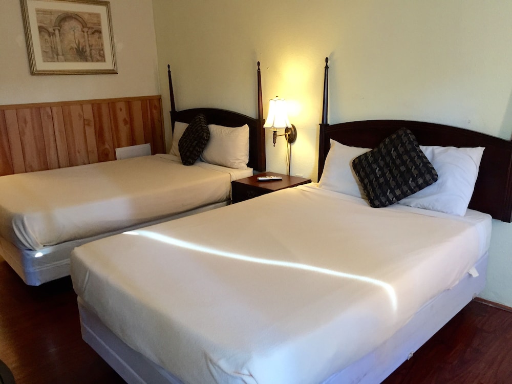 Jasmine Garden Inn - photo 14