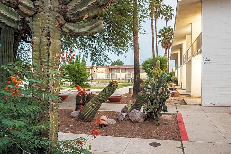 Motel 6 Tucson Airport - photo 22