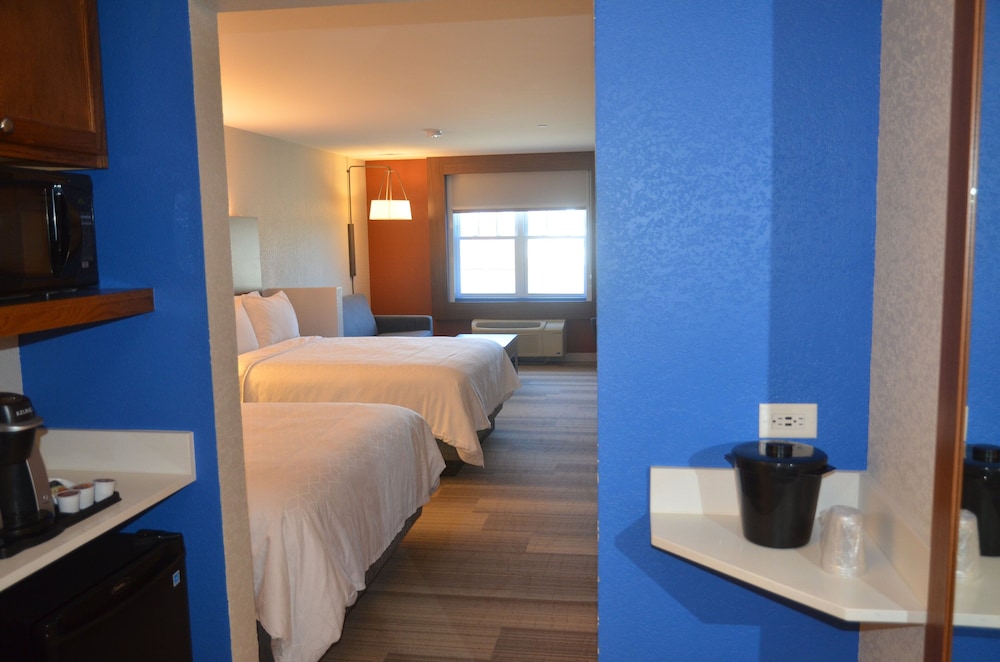 Holiday Inn Express Hotel & Suites Rochester by IHG - photo 7