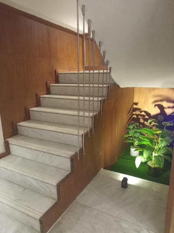 Hotel Star - carbon neutral hotel in Islamabad