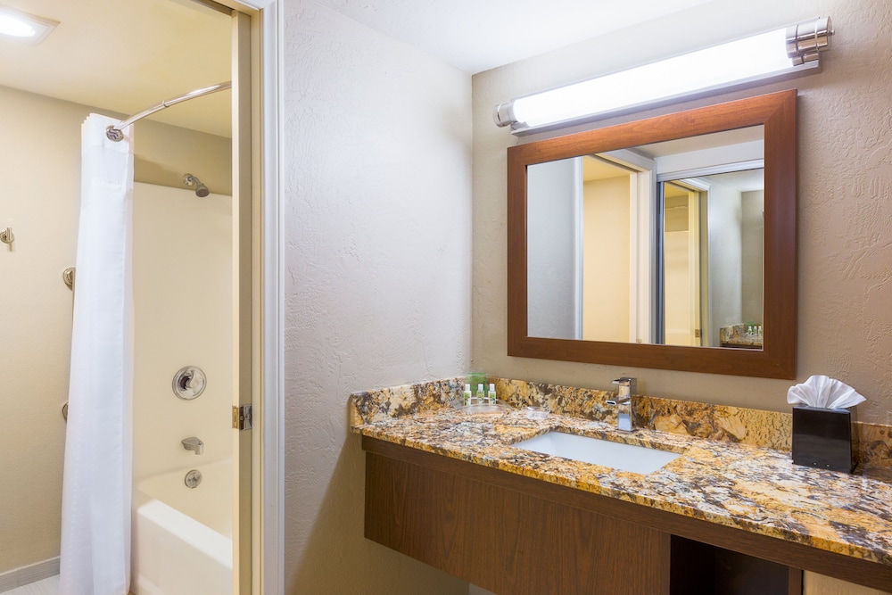 Holiday Inn Resort The Lodge At Big Bear Lake by IHG - photo 32