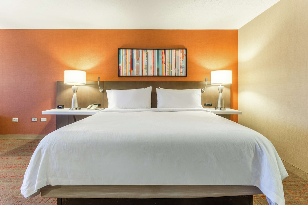 Hilton Garden Inn Chicago Tinley Park - photo 8