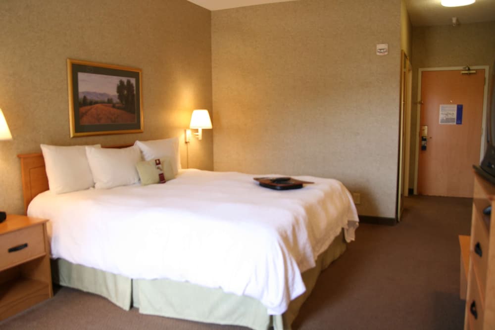 Hampton Inn & Suites Kalamazoo Oshtemo - photo 8