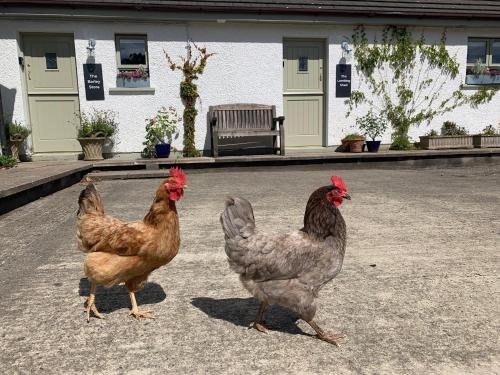The Barley Store at Walkmill Farm — 5-Star Luxury Hotel in Bushmills, United Kingdom