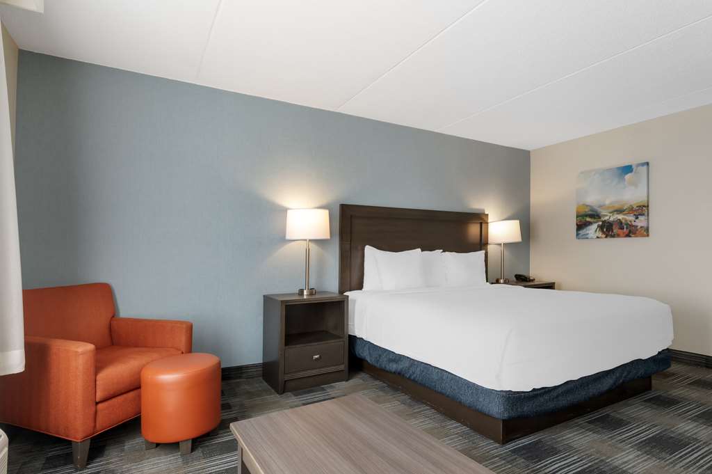 Best Western Plus Alexandria Fort Belvoir - photo 15