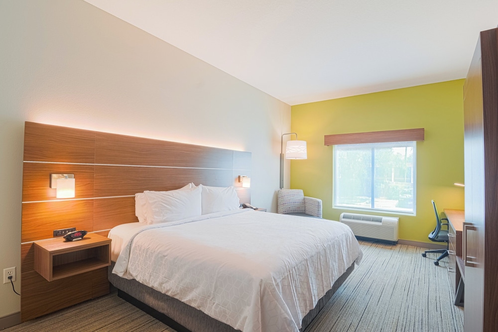 Holiday Inn Express & Suites Tampa USF Busch Gardens by IHG - photo 13