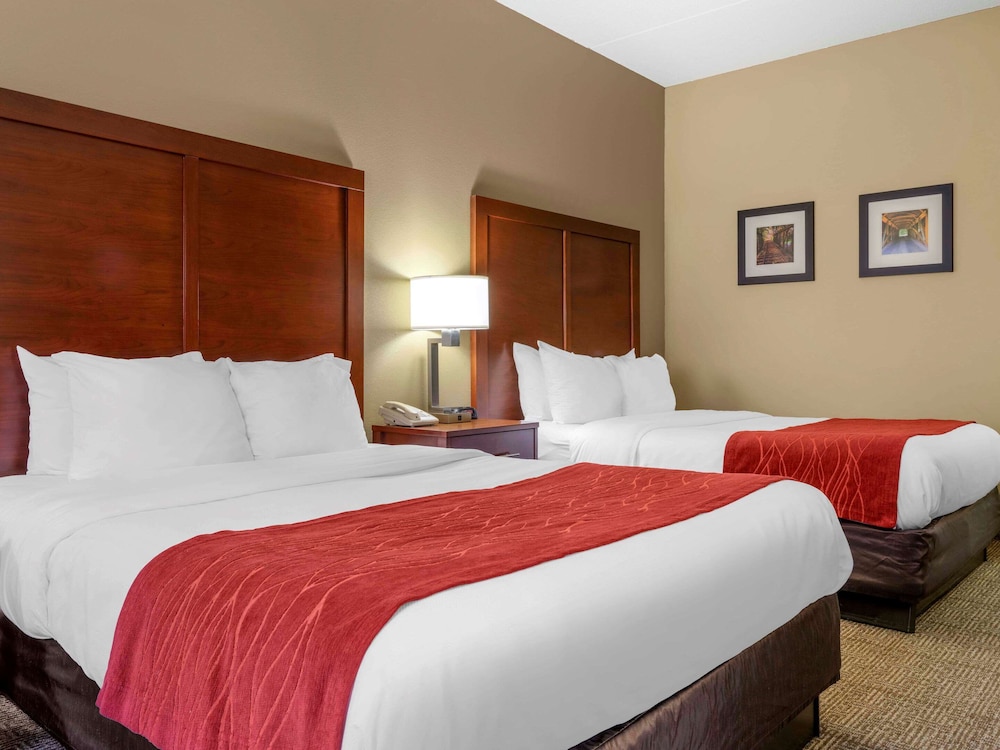 Comfort Inn Duncansville Altoona - photo 9