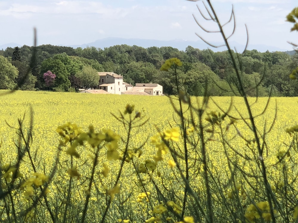 Les Ânes de Forcalquier - carbon neutral hotel in Forcalquier