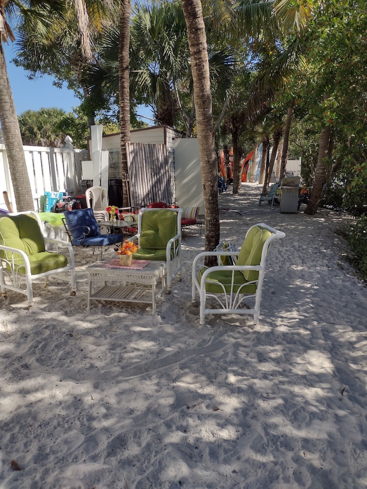 Bayfront Beauty - photo 24