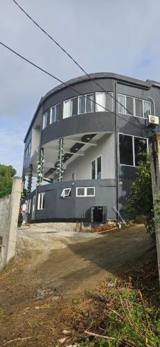 Lacewing in Unknown City, Saint Lucia