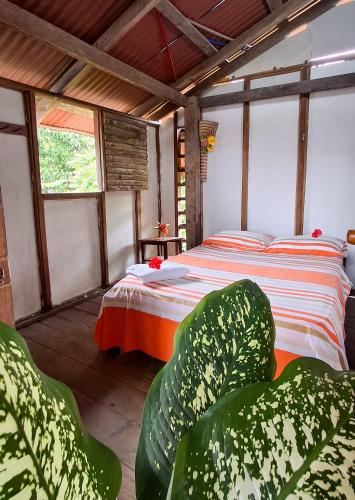 Posada Yulimar Nuquí - last minute hotel in Unknown City