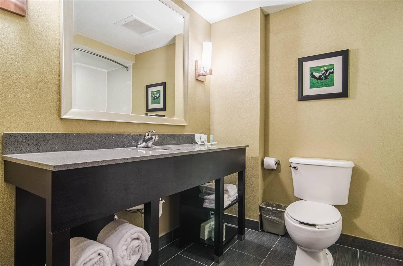 Quality Suites Graham Burlington South - photo 13