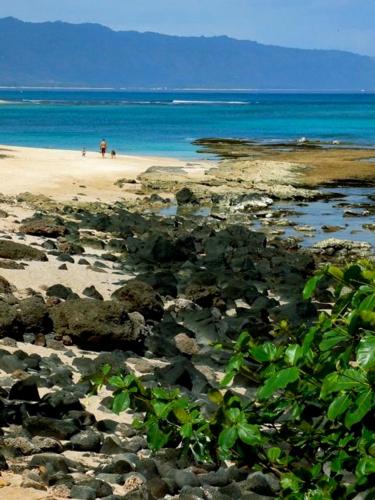 Kalani Hawaii Private Lodging - photo 44
