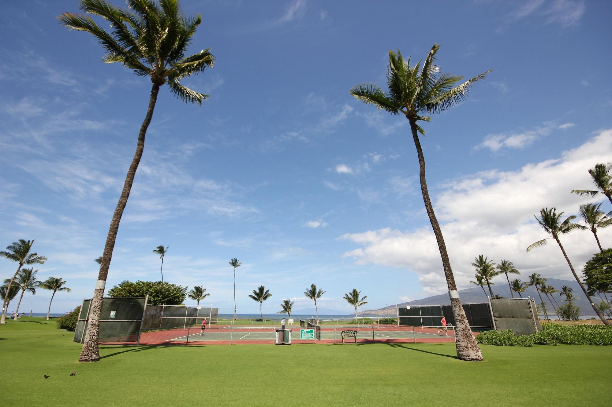 Maui Sunset - photo 7