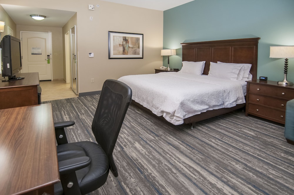 Hampton Inn & Suites Baton Rouge Port Allen - photo 12