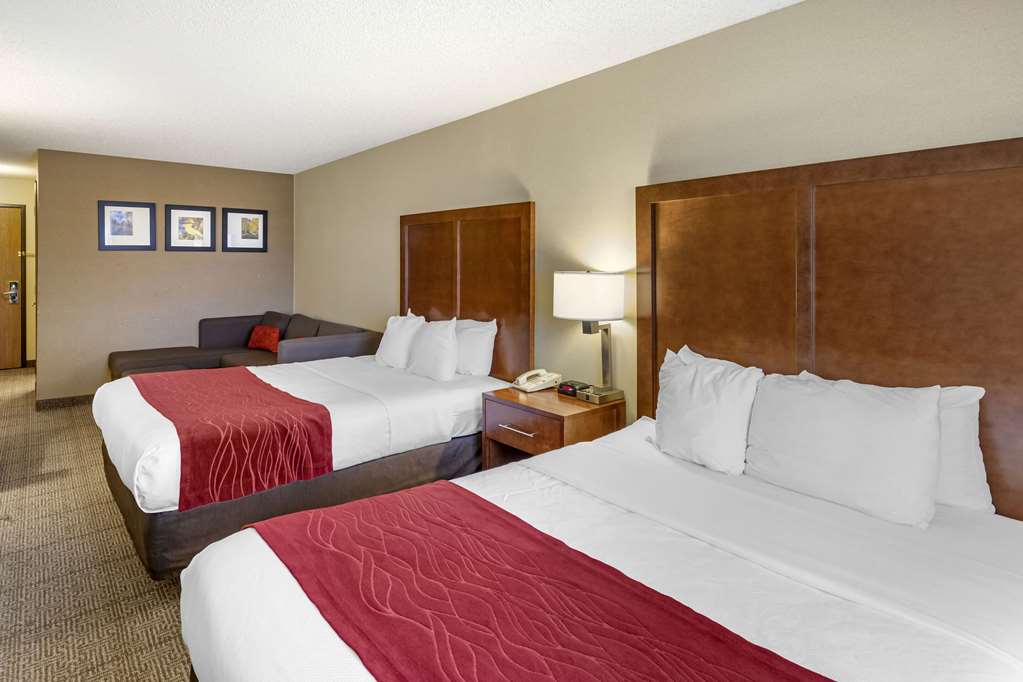 Comfort Inn Denver West Arvada Station - photo 49