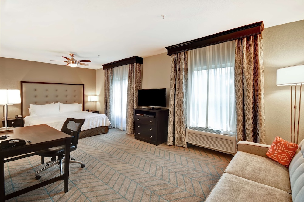 Homewood Suites by Hilton Tampa Port Richey - photo 7