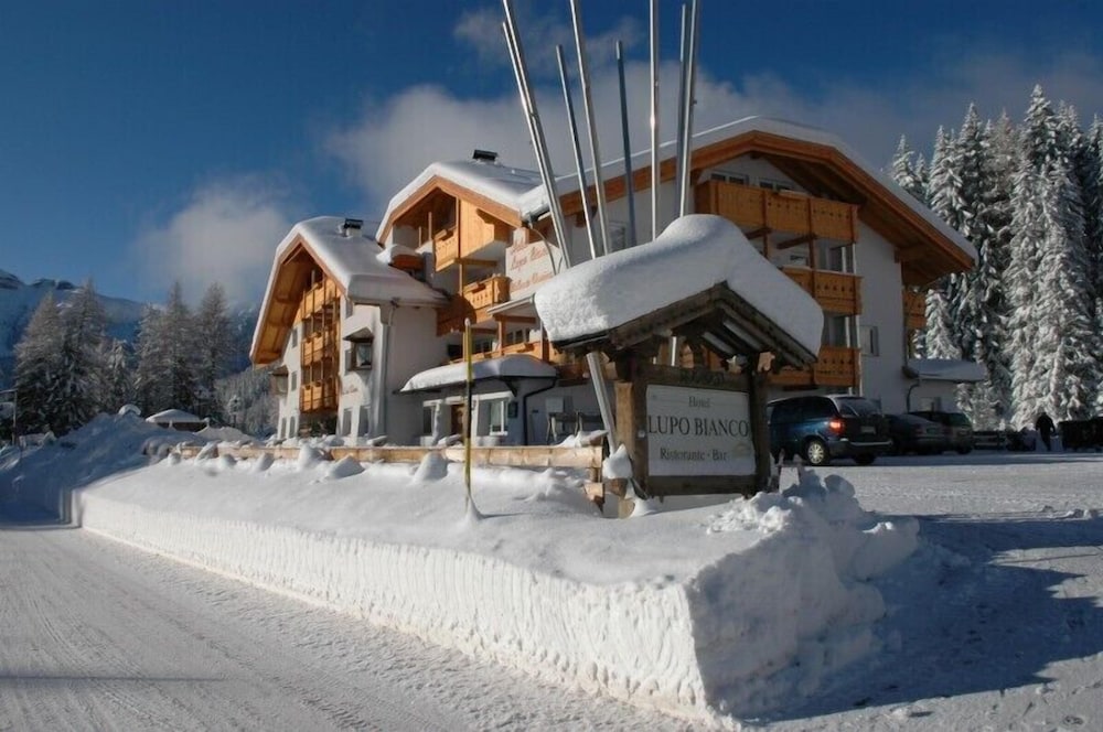 Lupo Bianco Wellness & Walking Hotel - last minute hotel in Canazei