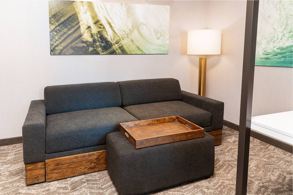 SpringHill Suites by Marriott Irvine Lake Forest - photo 7