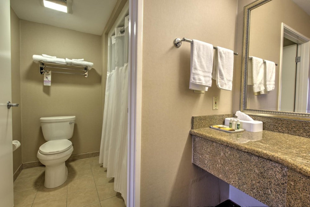 Burbank Inn and Suites - photo 15