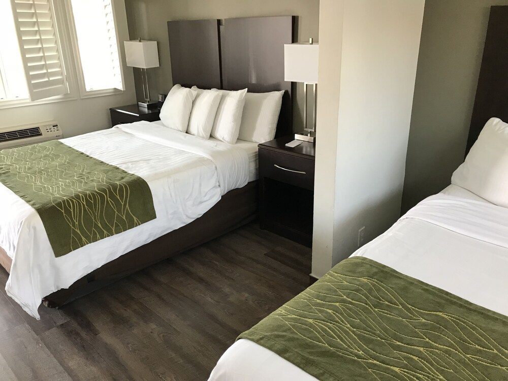 Hi View Inn & Suites - photo 6