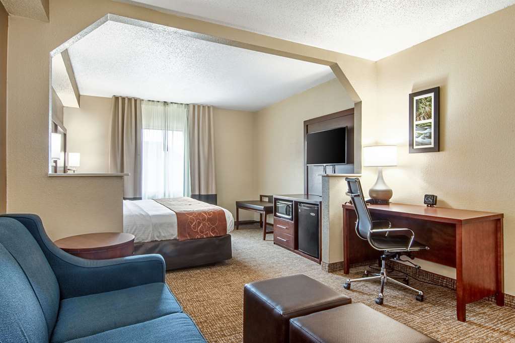 Comfort Suites Knoxville Airport - photo 17