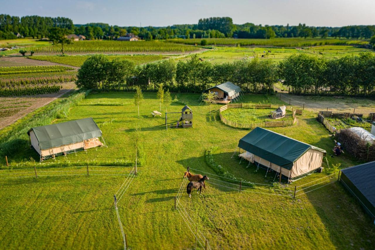 Glamping Hoeve Klein Haneveld — Sint Oedenrode
