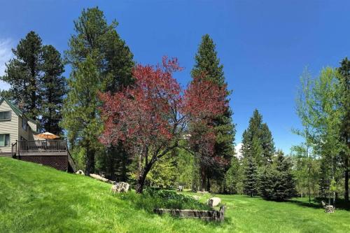 Seasons at McCall by Casago McCall Donerightmanagement - photo 13