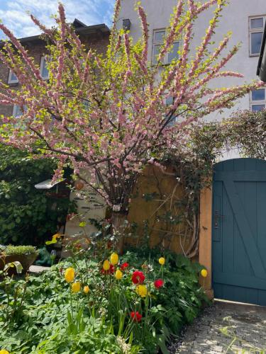 Klosterhauschen in Stralsund in Stralsund, Germany