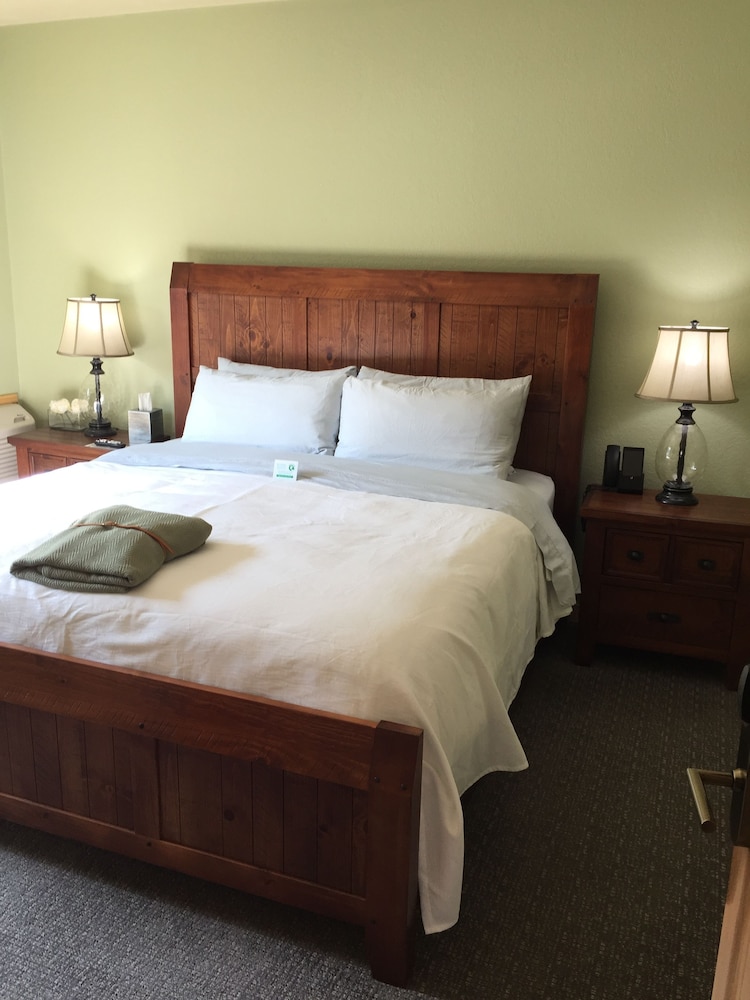 Roam Inn - photo 7