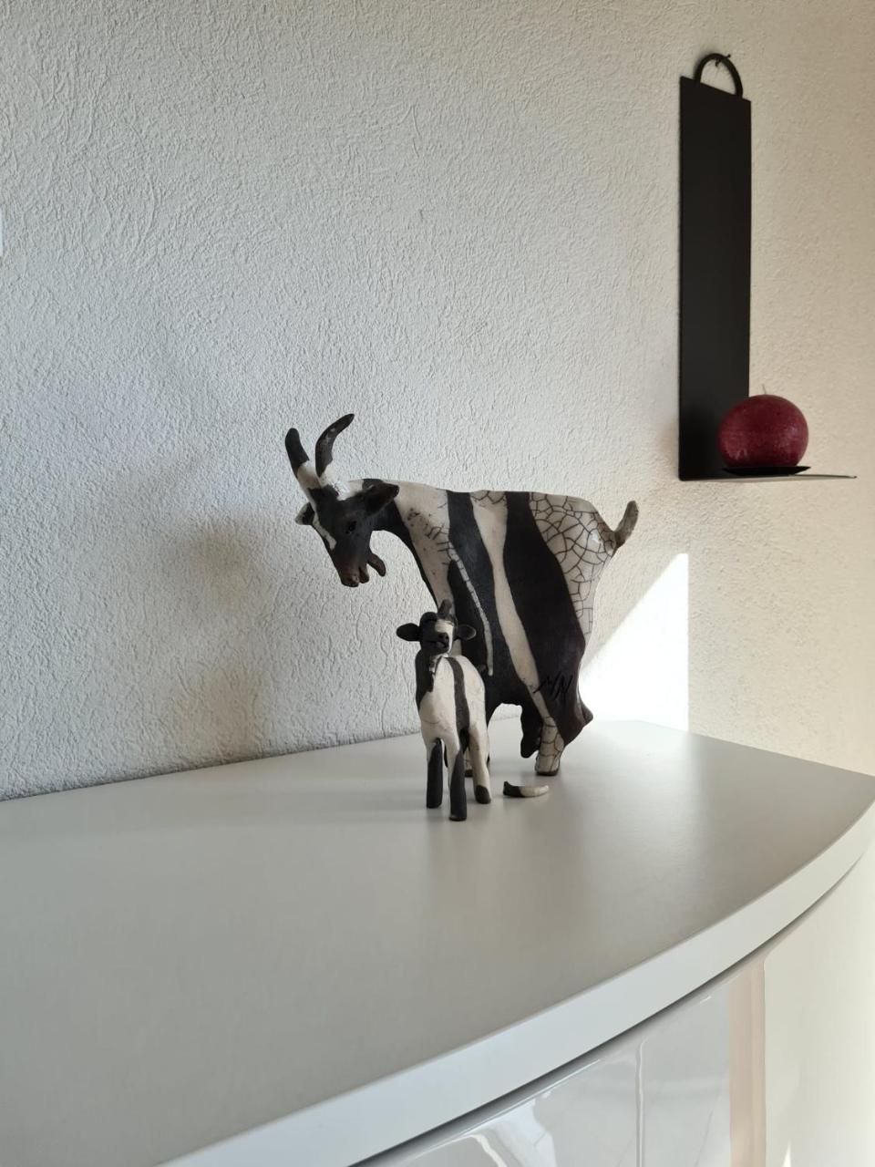 Chasa Scandella Apartment Tanja — Scuol — photo 5