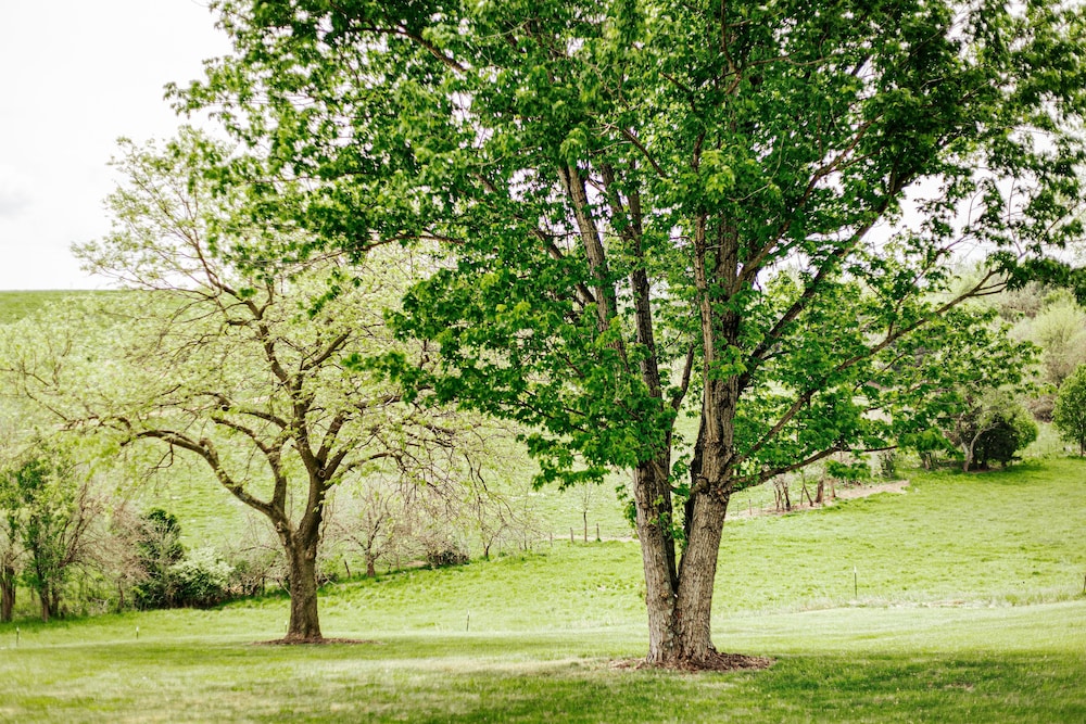Batten Green Venue & Lodging - photo 51