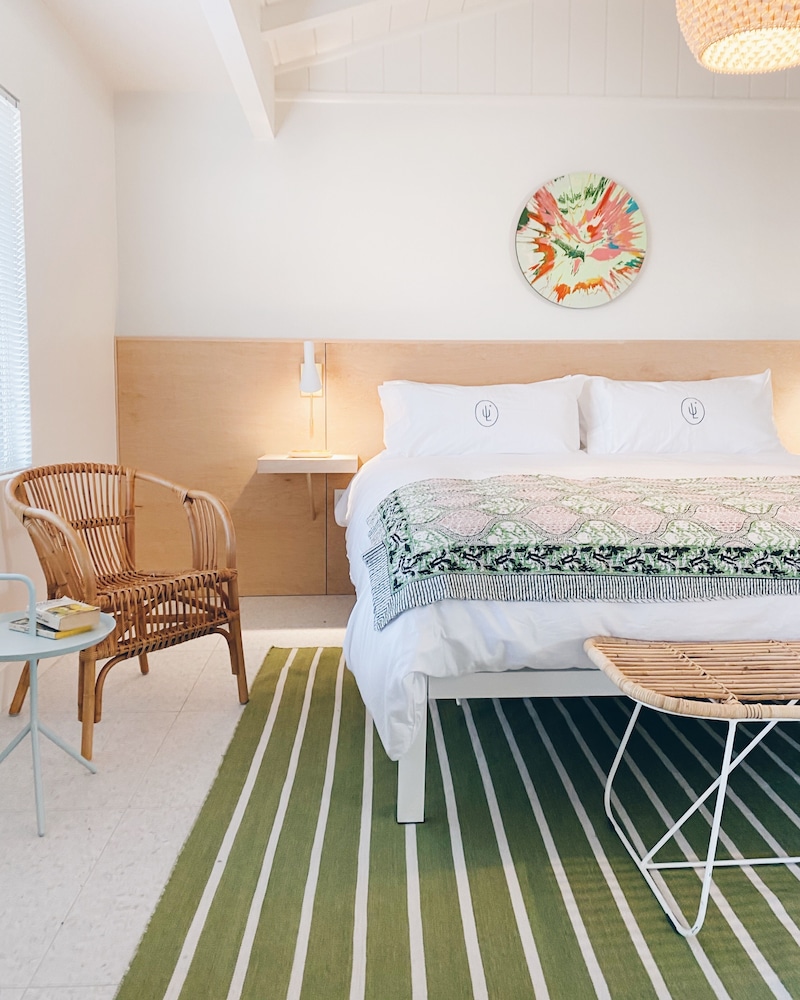 Les Cactus - photo 4