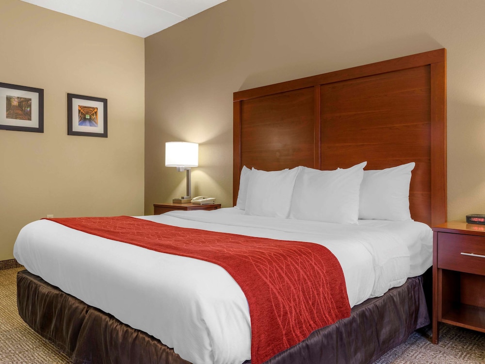 Comfort Inn Duncansville Altoona - photo 6