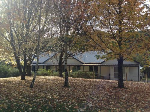 Goldberryaccommodation - carbon neutral hotel in Melbourne