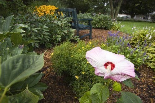 Chestnut Street Inn - photo 10