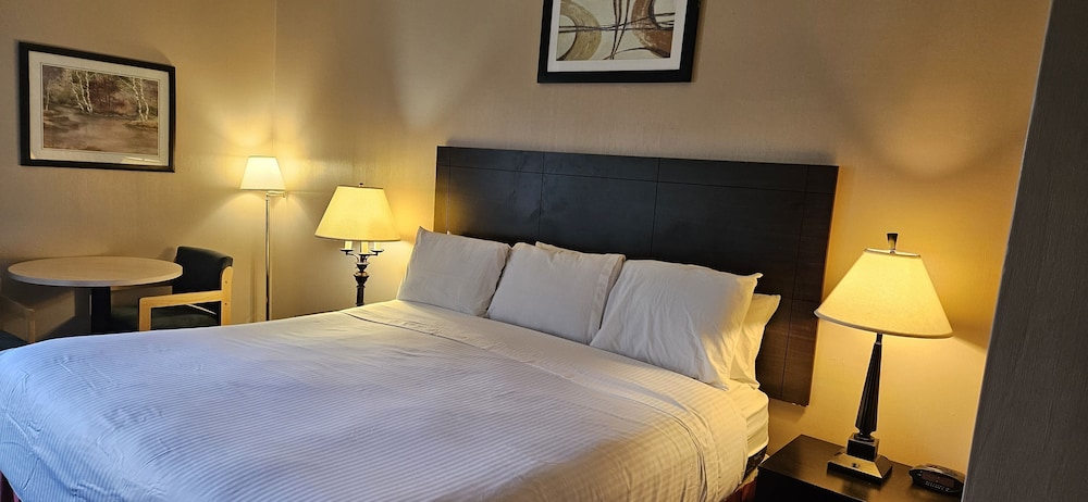 Bellis Inn - photo 12