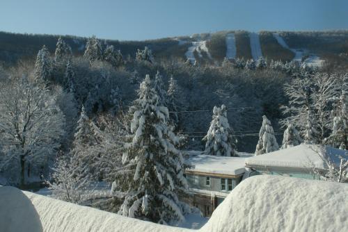 Townhouse W Private Deck & Mt View — 4-Star Luxury Hotel in Windham, United States