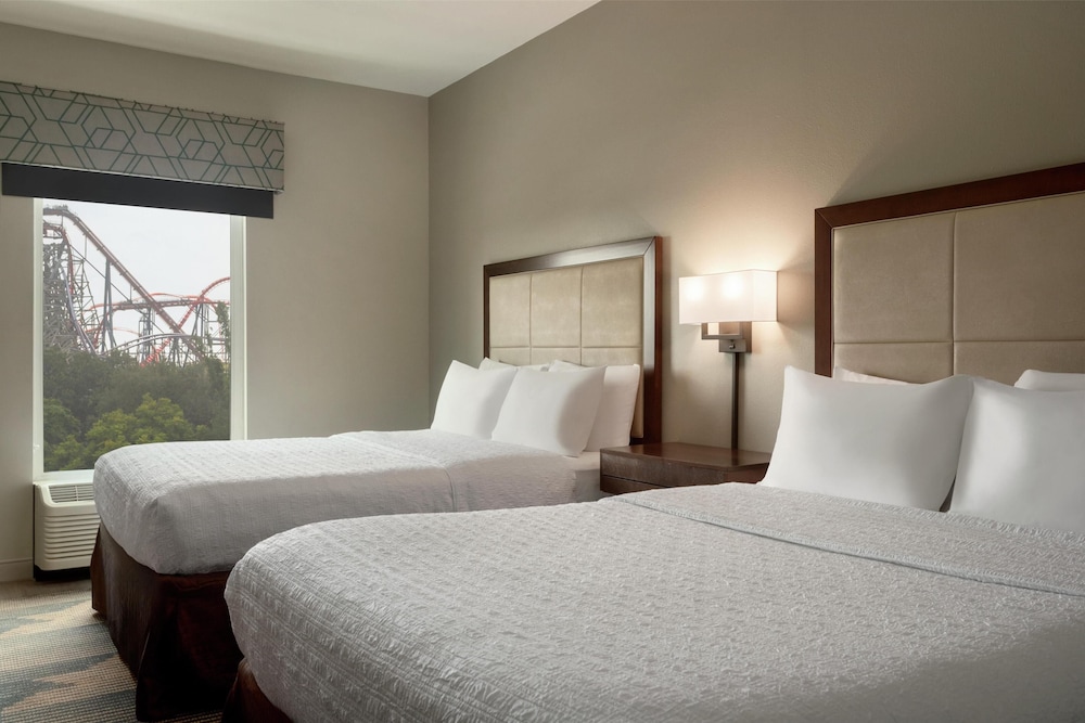 Hampton Inn & Suites Tampa Busch Gardens Area - photo 20