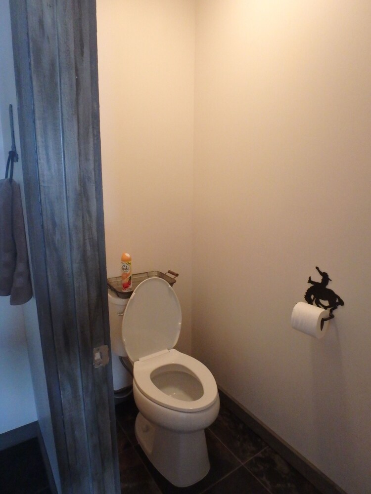 Rays place Inn - photo 7