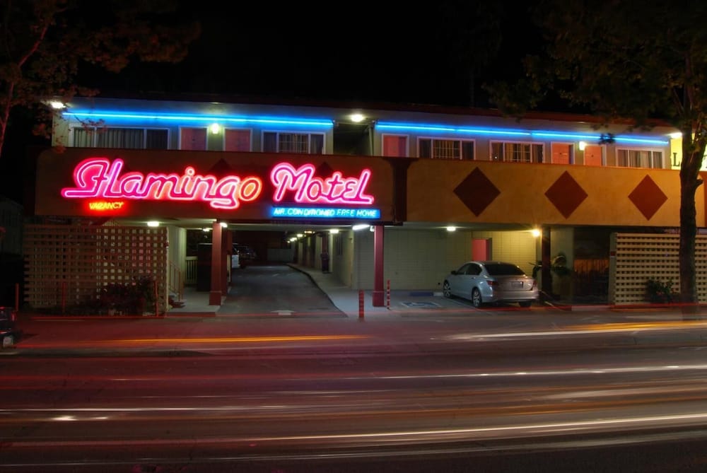The Flamingo Motel - photo 24