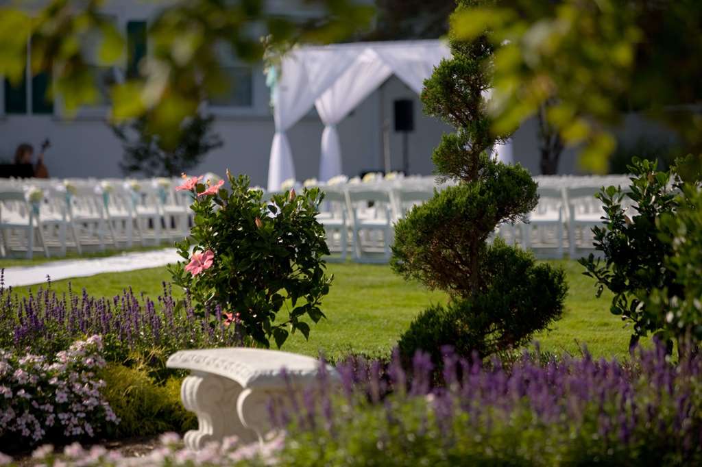 Seaview Hotel - photo 46