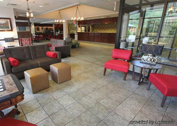 Black Bear Inn & Suites - photo 8