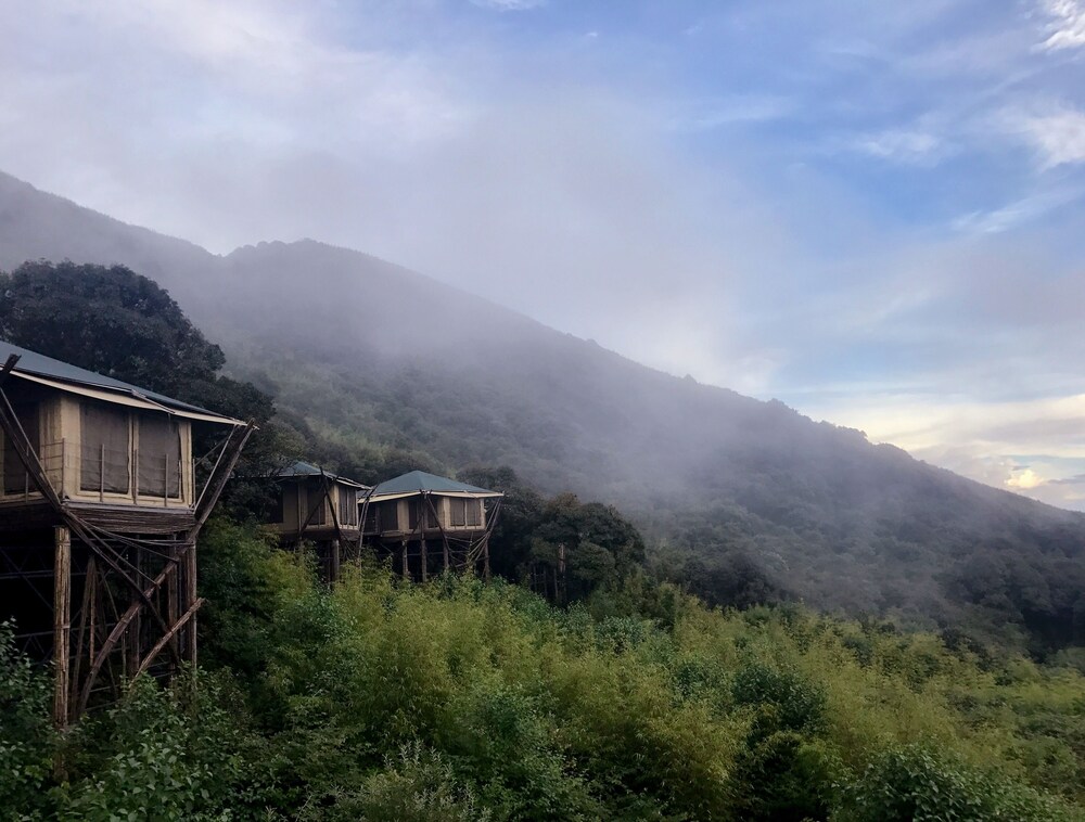 Vinetree Gaoligong Tented Resort in Baoshan, People's Republic of China