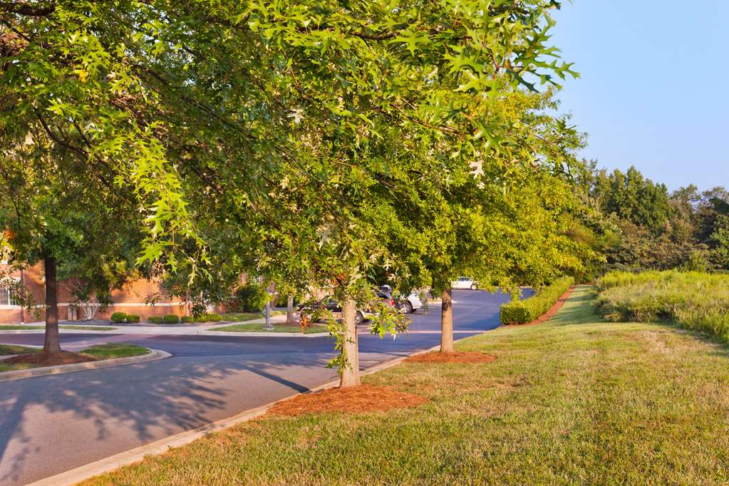 Sonesta Simply Suites Charlotte University - photo 22